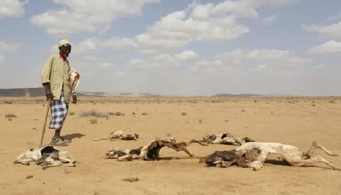 Warning of unprecedented heatwaves as El Niño set to return in 2023