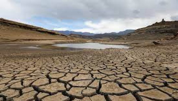 Horn of Africa drought drives 22 million to hunger