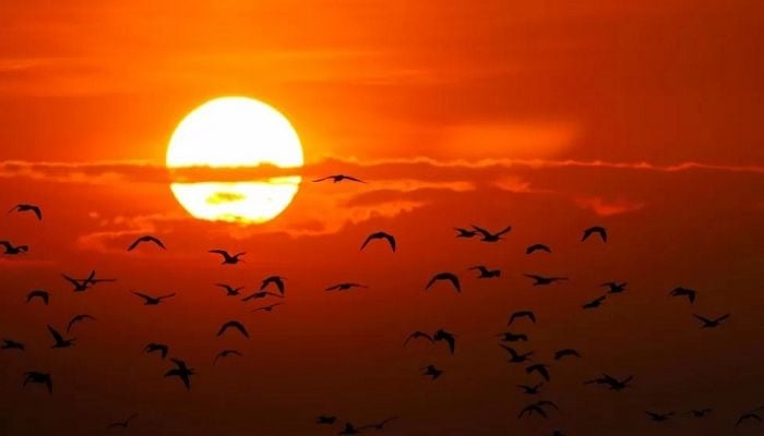 Ozone layer may be restored in decades, UN report says
