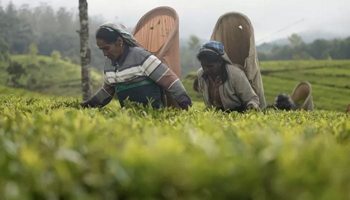 Sri Lanka's central bank urges China and India to reduce its debts