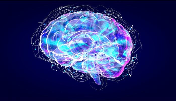 Australian scientists make breakthrough in Alzheimer's research