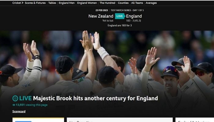Majestic Brook hits another century for England