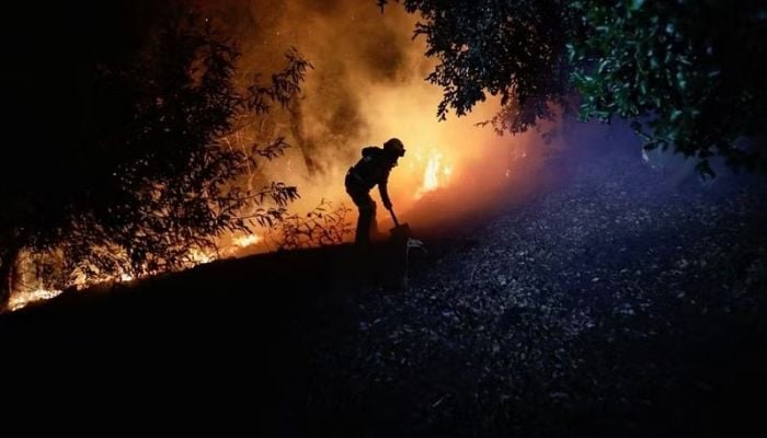 13 dead as fires blaze through south-central Chile