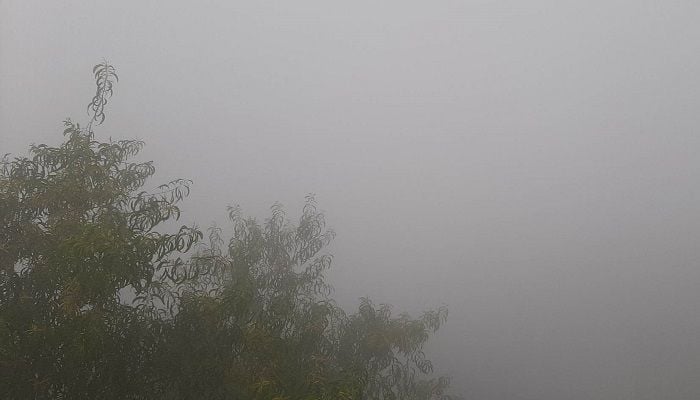 Countrywide moderate to dense fog likely