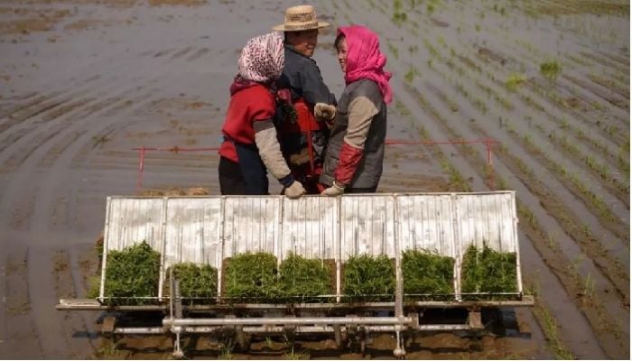 Alarms sound over North Korea's deepening food crisis