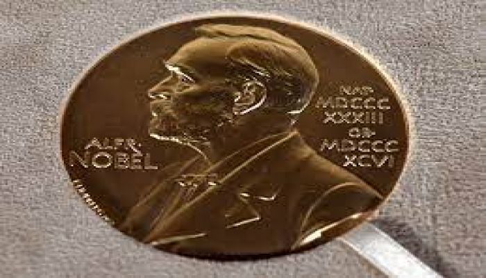 305 nominations for Nobel Peace Prize: institute
