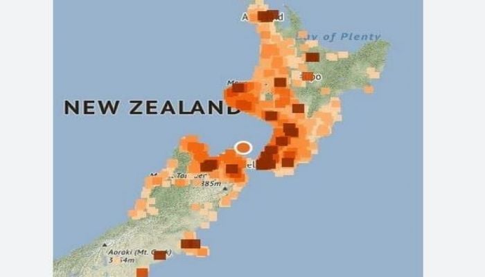 Strong earthquake felt in New Zealand capital