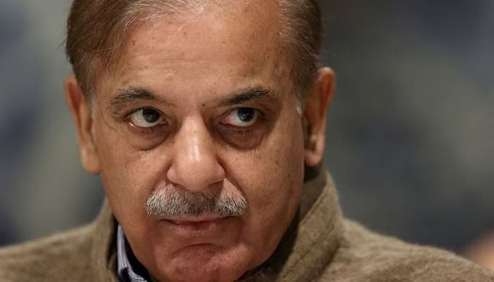 Pakistan will unwillingly accept strict conditions of IMF deal: PM Sharif