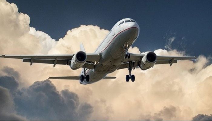 American Airlines bars Indian citizen from flying after urinating on US citizen mid-air