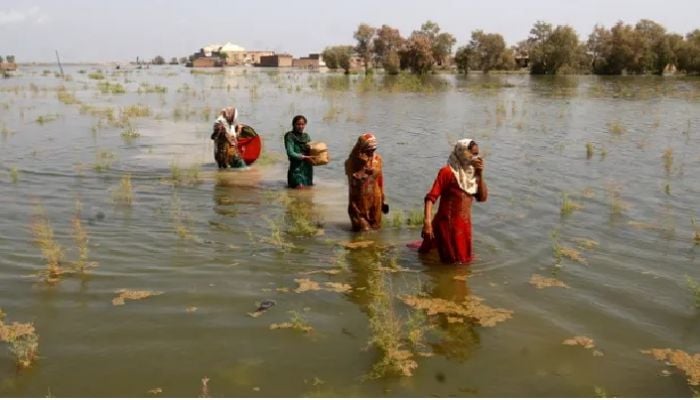 World can still avoid worst of climate collapse with genuine change, IPCC says
