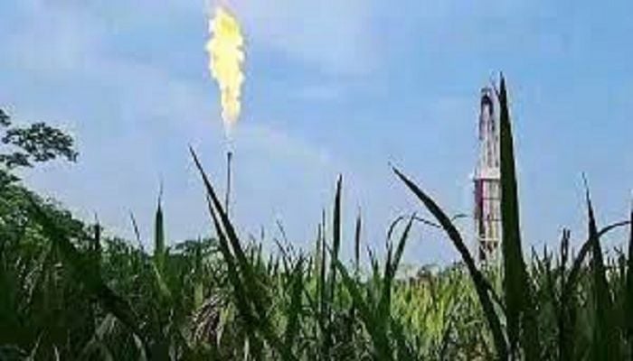 Gas found in Bhola Elisha-1 well