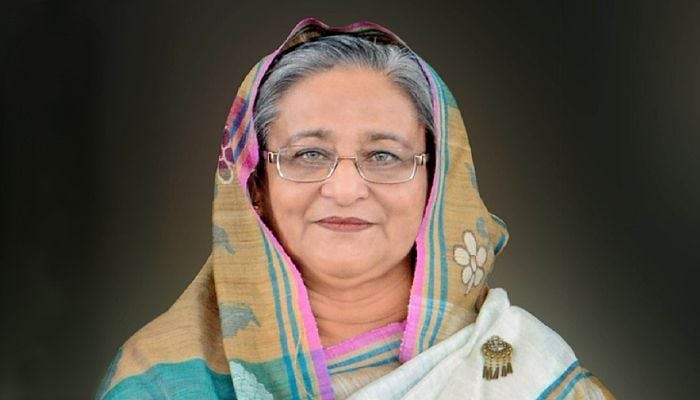 Sheikh Hasina's homecoming day being observed