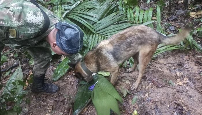 Four kids, including baby, found alive in Amazon after plane crash