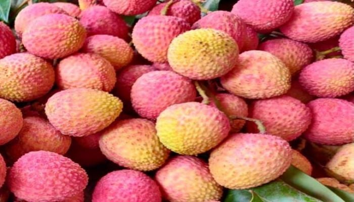 Litchi starts appearing in Rajshahi markets