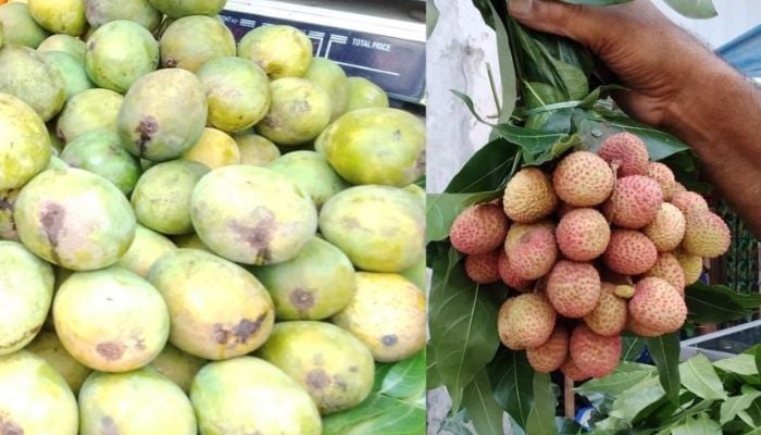 Mango, litchi start appearing in Khulna markets