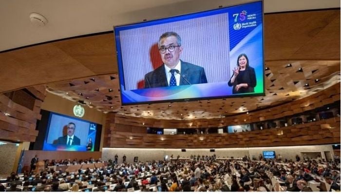 How the World Health Organization could fight future pandemics