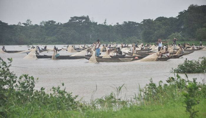 Nearly 17,000kg fish eggs collected from Halda River