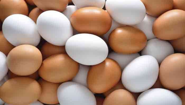 Syndicated group looted Tk 932 cr from eggs market