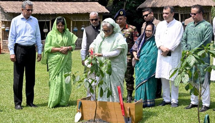 Plant trees to protect Bangladesh from climate change: PM