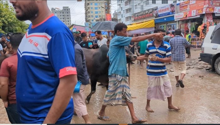 Rains hamper cattle markets, traders fear loss