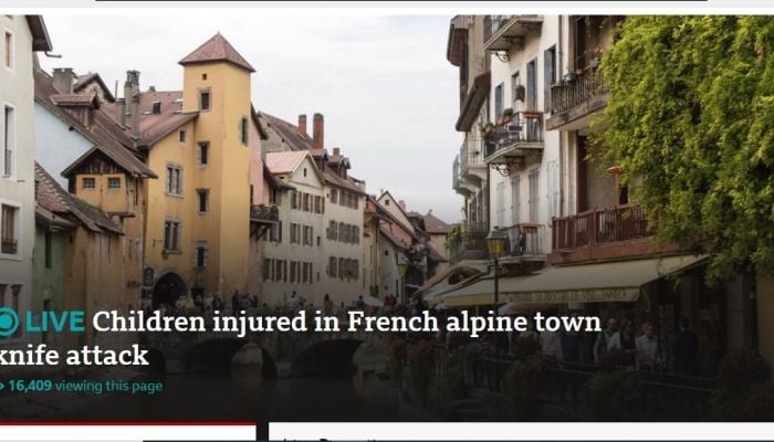Children injured in French alpine town knife attack