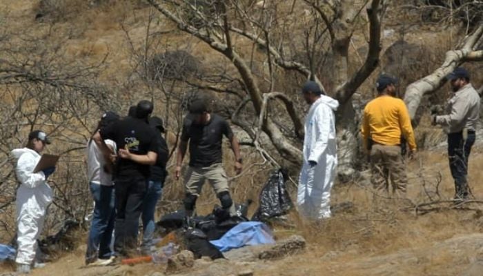 Mexico police find 45 bags with human body parts in ravine