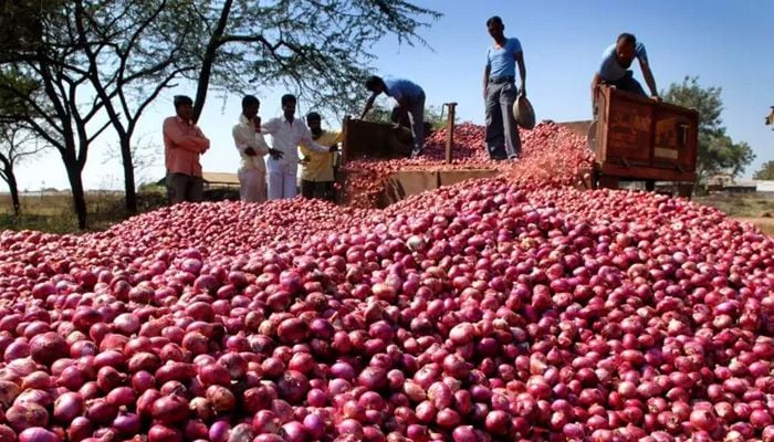 Government allows onion import from Monday