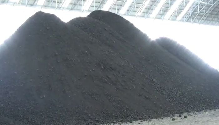 Coal for Rampal power plant reaches Mongla port, unloading starts