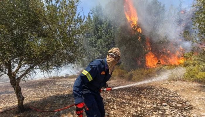 Deadly Mediterranean wildfires kill more than 40