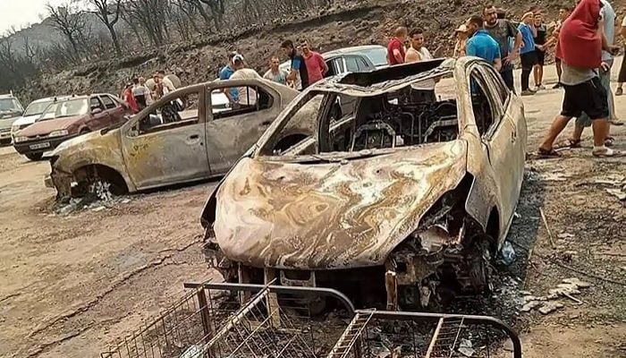 Algeria wildfires kill dozens of people including 10 soldiers