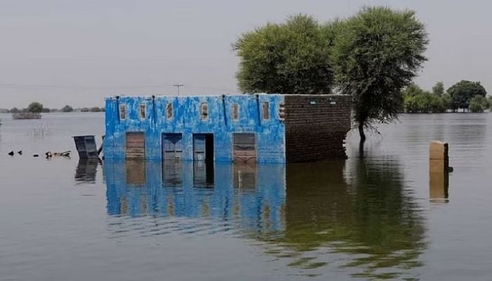 Effects of climate change increasing in Asia: WMO