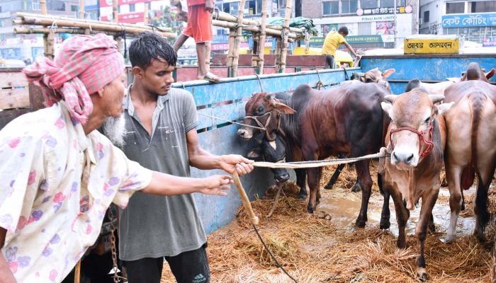 Over 1cr cattle sacrificed on Eid-ul-Azha