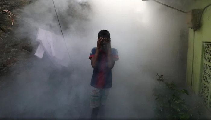 WHO warns of dengue risk as global warming