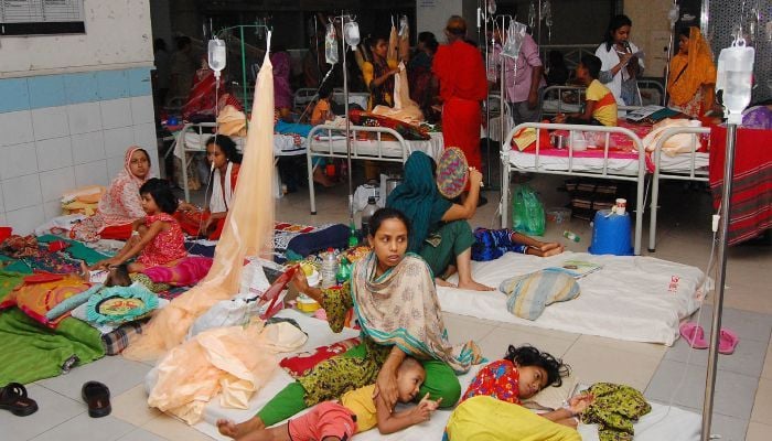 9 die of dengue, 2,293 hospitalised