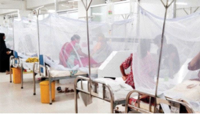 Dengue claims over 250 lives this year