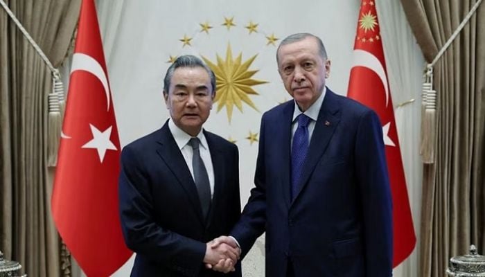 New Chinese foreign minister Wang talks Ukraine in Turkey on first trip