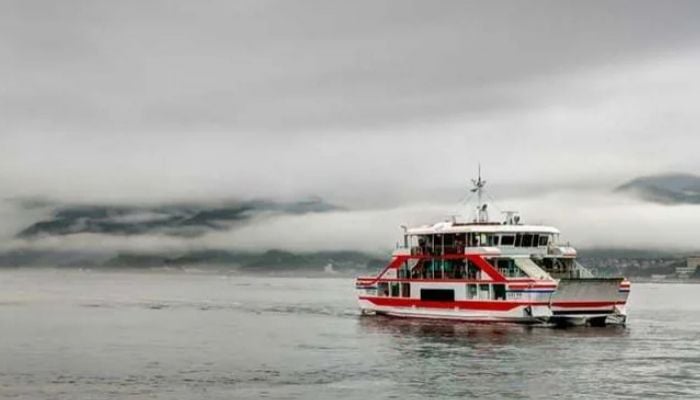 At least 15 killed, 19 missing after ferry sinks near Indonesian island