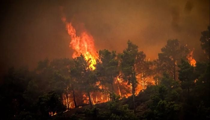 Thousands flee homes and hotels on Rhodes as fires spread