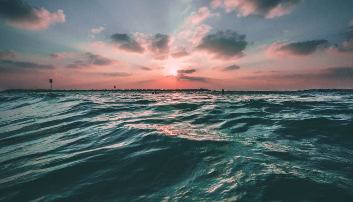 Oceans are turning greener due to climate change