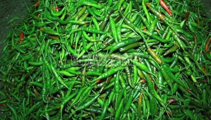 Price falls as govt allows import of 36,830 tons green chilli 