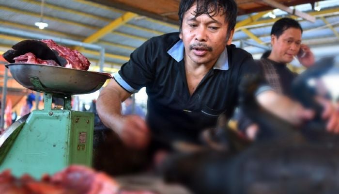 'Extreme' Indonesian market ends dog, cat meat trade