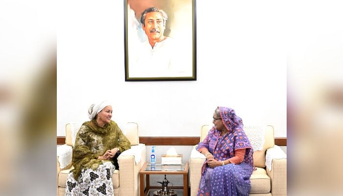 UN DSG pays courtesy call on PM