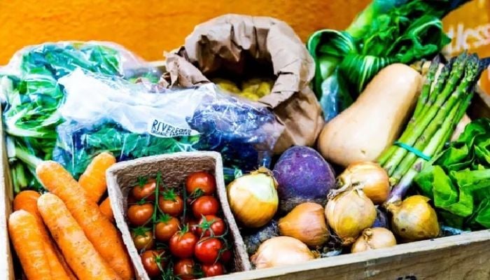 Vegan diet massively cuts environmental damage, study shows