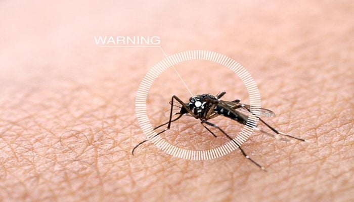 Dengue patients need immediate hospitalization to reduce mortality rate: experts 