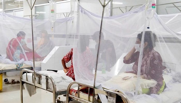 12 more die of dengue in 24 hours