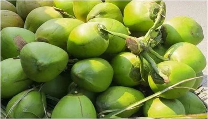 DNCRP for keeping receipt in green coconut trade