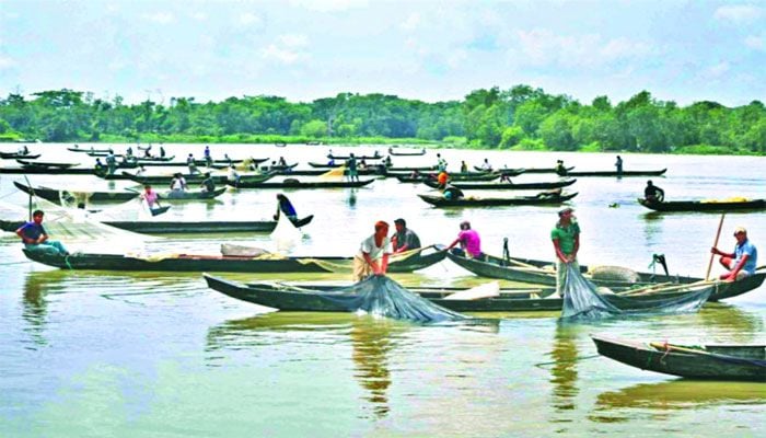 Project for Halda River fish soon