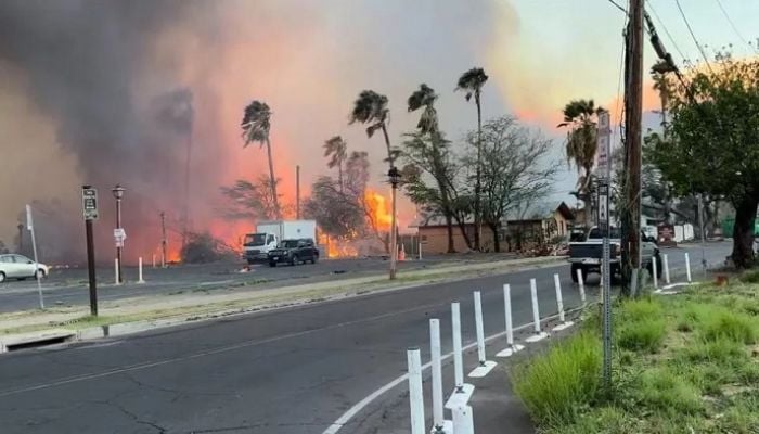 At least 36 killed as flames tear through Maui island