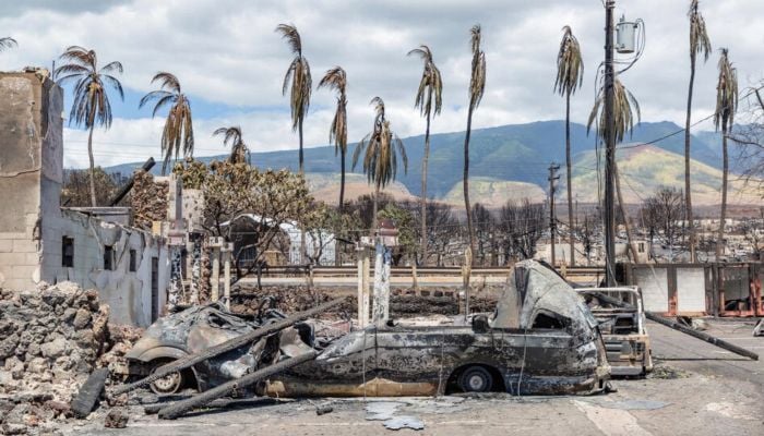 Hawaii wildfire toll tops 100