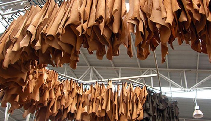 PMO for increasing leather export to US$ 5bn within 3-4yrs